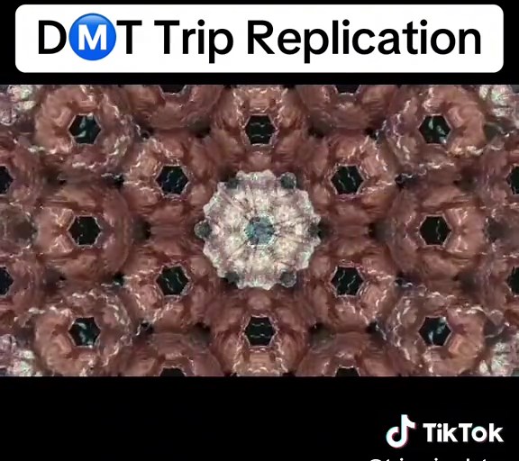 Exploring Datura Trip Simulation Experiences