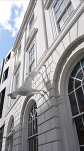 3.8K views · 46 reactions | London is blooming beautiful at the moment in and around sketch… Just when you start to get a little bit tired of the hustle and bustle central London gives you springtime. Blossom is tucked around each corner, daffodils bounce to life and the sun floods the streets with sparkling delight. #spring #springinlondon #londonblossom #blossomtrees #mayfairlondon #blossomlondon #springtime #centrallondon #londra #londres | sketch | Facebook