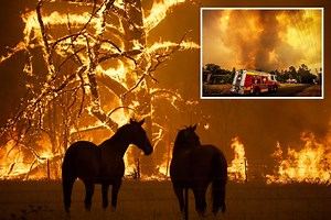 9 killed and 800 homes destroyed in 'catastrophic' Australia wildfires