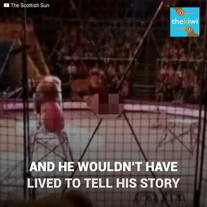 Hamada Kouta dedicated to taming lions. His ability with felines gave him great fame. He treated them as if they were his children; however, one of them got out of control. The lion suddenly attacked him with rage in front of hundreds of spectators… Subscribe for more http://bit.ly/yt-thekiwi | The Kiwi