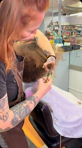 Where curls meet their perfect match! ✨ #CurlyHairMagic #CurlCare #HoustonCurlSalon | Planet Curls | Facebook