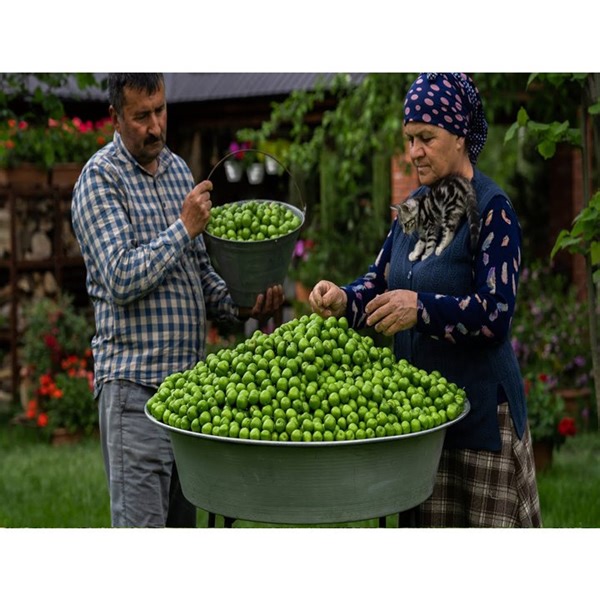 3.4K views · 148 reactions | The Cherry Plum Harvesting - Preserve the Sunshine in a Jar! | ASIAN TESTY | Facebook