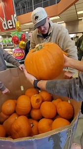 2.4K views · 56 reactions | Gabby gives us the run down on how to pick the perfect pumpkin, while Desouza shows us how not to transport one. | Kelowna Rockets | Facebook