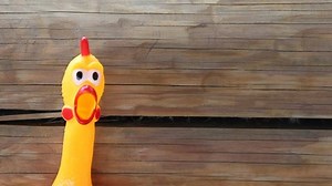 Footage Toy Rubber Chicken Stock Footage Video (100% Royalty-free) 1052731694 | Shutterstock