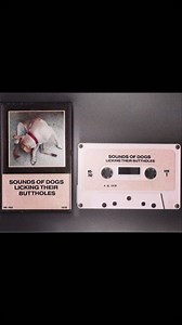 Pure Moods Volume 267 🐶 | Worst Buy