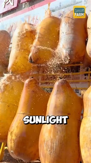 How ancient Chinese people made rafts from goat skins #raft #shortsvideos | Pedro Bosa Achu