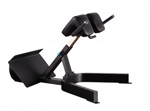 [Hot Item] Precor Bodybuilding Equipment / Back Extension (SD28)