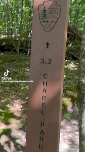 5.1K views · 113 reactions | What a beautiful place to be #upnorth #Michigan #PureMichigan | Michigan Up North | Facebook