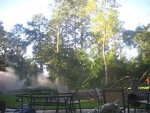 2.8K views · 28 reactions | Tree gets one last bit of revenge. | Too Soon Jokes | Facebook