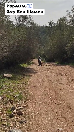 Israel🇮🇱 Yar Ben Shemen #israel #travel #lifeabroad #park #nature #forest #hike #village #live