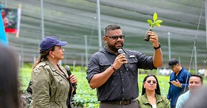 Honduras lanza Agrobosque, el mayor proyecto de reforestación cafetalera en América Latina