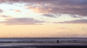 Snow and ice to disrupt travel across UK