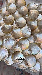 5.5K views · 140 reactions | Presented by Duncan Edwards Sea Shell...