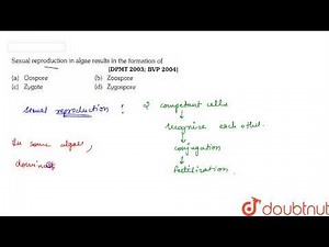 Sexual reproduction in algae results in the formation of