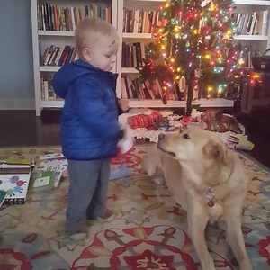 353K views · 2.3K shares | Cute vs cute...who will win? | Vs. | Facebook