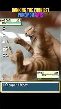 Ranking the Funniest Pokémon Cats 😹⚡🐱 | Top 5