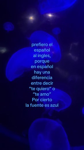 Diferencias entre 'Te quiero' y 'Te amo' en Español