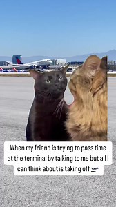 1.4K views · 18 reactions | Plane and simple: I'm ready for takeoff! ✈️ #JohnWayneAirport #FlyJWA | John Wayne Airport, Orange County | Facebook