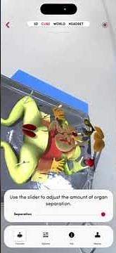 Virtual Frog Dissection with Merge Explorer (AR Biology)