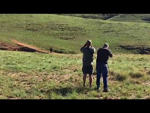 HUNTING IN AFRICA | Buffalo Attacks Hunters.