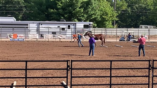 Kelby Aubert and Roxy in the halter/ground handling class | Missouri Mule Makeover/Ozark Mule Days
