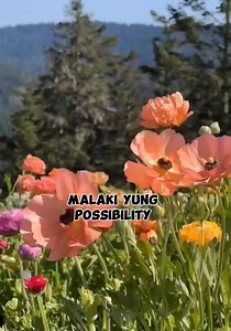 16 reactions · 25 comments | Wag magpadistract sa, mga tao O bagay na wala nman ambag sa buhay natin 殺殺殺 #followersシ゚ #fypシ゚viralシ #highlightseveryone #instreamadsmonetization #inspirationalvideo #adsonreelsmonetization #teaminstream | Mischelle C. Avid | Facebook