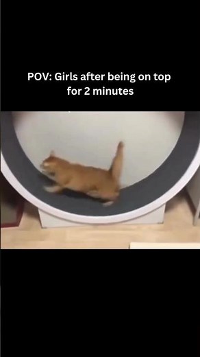 If you laugh, you restart pt 1271 | #memes
