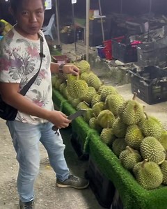 Harini pon harga masih sama,Duri Hitam,ochee RM30,35/kg | Pakdo Durian