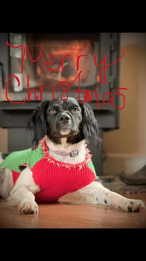 DK Remodling on Reels