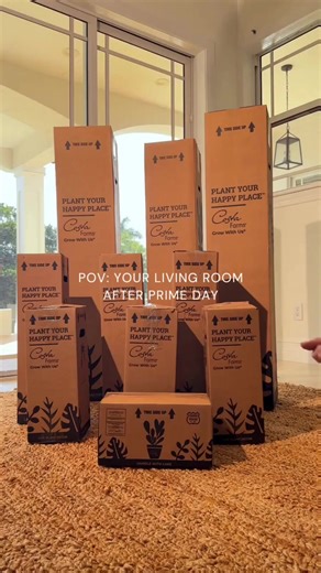 Prime Day Deals are LIVE! Shop here: https://www.amazon.com/deal/c37c04cc?showVariations=true&pf_rd_r=J4VY6MDSJ6W9KTFMBWEX&pf_rd_t=Events&pf_rd_i=primeday&pf_rd_p=bafbce79-48a4-4ae2-95ec-5306856bfbe8&pf_rd_s=slot-6&ref=dlx_prime_gd_dcl_img_1823_c37c04cc_dt_sl6_e8&pageNum=1&sortOption=relevanceblender | Costa Farms