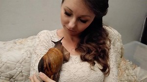 8K views · 44 reactions | This women has a giant snail as a pet !  | Storytrender | Facebook