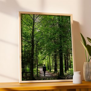 Soteska Vintgar Forest Path, Slovenia Gorge Landscape, Nature Photography (digital Download) - Etsy