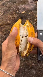 3K views · 39 reactions | Rango fruit襤 #fyp #reelsfb | Bean Saputra | Facebook