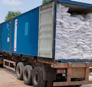 [Hot Item] Ginger Yam Garlic Chives Eggplant Fruits Vegetables Microbial Agents Microorganism Inoculant