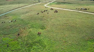 2.4K views · 44 reactions | Dji Mavic 2 Pro Aerial Video Maramures Romania (Video de la Paul Diaconu‎) | Maramures | Facebook