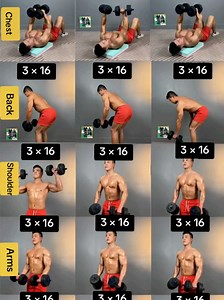 💯💪The Ultimate Complete Full Body Workout Guide #fitness #chest #muscles #dumbbells #gymmotivation