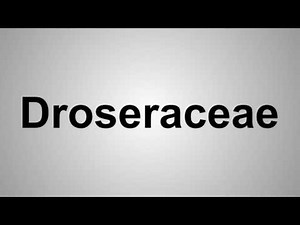 How To Pronounce Droseraceae