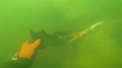 I went scuba diving in the river and found a lot of weird things as well as some large bones! #scubadiving 🔥😎 | Exploring with the Nug