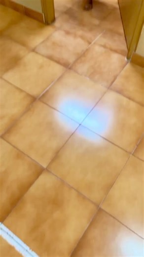 126K views · 2.5K reactions | Night Hostel Dance 朗 Before Exam  insta id- @finallyroomies #mallu #malayalam #kerala #tamil | Buzz International | Facebook