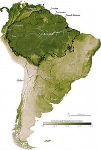 Amazon - Information about cities and national parks in the Amazon Rainfores