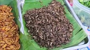 A bag of deep-fried insects used to be known as a popular snack among bar girls and lower-paid workers but there are now many students and office workers buying them. The popularity of insects, it seems, is universal and classless. 🏖🏝🦗🪳🦗 | Thailand Travel