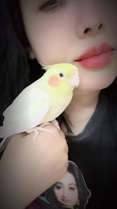 55K views · 491 reactions | একটা পাখি ও ভালোবাসা বুঝে ❤️ | Blue Fairy Laila | Facebook