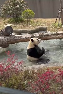 Sıcaklarda modum | Anemon