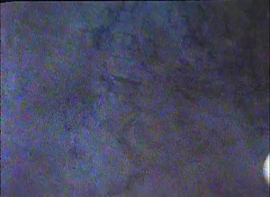 The Ben Stiller Show: Complete Series : Ben Stiller, Judd Apatow : Free Download, Borrow, and Streaming : Internet Archive