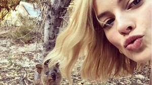 How to take the best quokka selfie