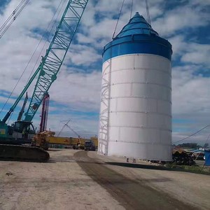 [Hot Item] Bolted Silo Large Scale Powder Starage Silo for Wharf Projects