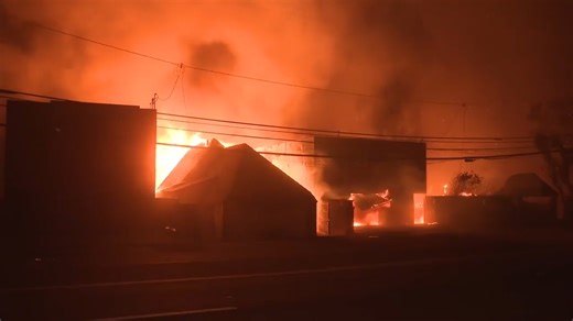 Hollywood Hills fire breaks out as deadly wildfires burn out of control across Los Angeles area - WSVN 7News | Miami News, Weather, Sports | Fort Lauderdale