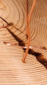 726K views · 836 reactions | Sewing With Copper | Crafty Panda | Facebook