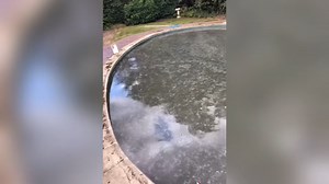 How shock, flock, and filtration work together