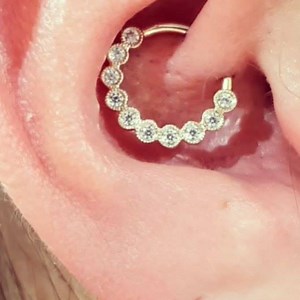 Fresh Daith Piercing - using a Solid Gold Maria Tash Scallop #mariatash #goldjewellery #goldjewelry @maria_tash | Scarz & Barz Piercing & Body Modification Studio | Facebook